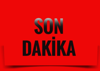 Melbourne’de uçak düştü: 5 kişi sağ olarak kurtulmayı başardı