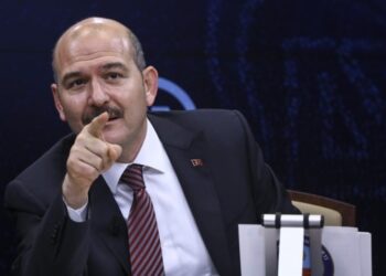 Süleyman Soylu hedef gösterdi, HDP Mardin İl Eşbaşkanı tutuklandı