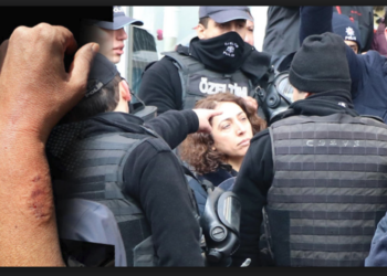 Milletvekili Saliha  Aydeniz: Polisin cinsel tacizine maruz kaldım