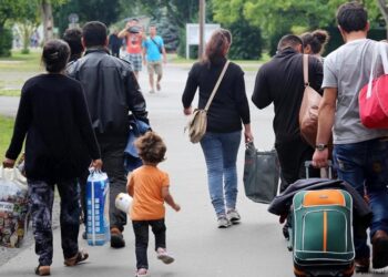 Türkiye’den Almanya’ya iltica başvurularında eğitim düzeyi yükseliyor