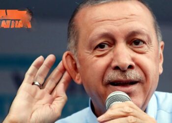 MHP’li vekil, desteklediği yasayı reddeden Erdoğan’a: ‘Çevrecilik Milliyetçiliktir’ anlayışıyla, şükranlarımızı arz ederiz