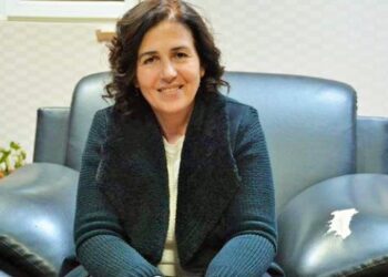 Sur Belediyesine baskın: Eşbaşkan Buluttekin’in kafasına silah