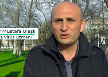 Konunun uzmanı Doç. Dr. Ulaşlı anlatıyor: Koronavirüs hücre içine nasıl giriyor?
