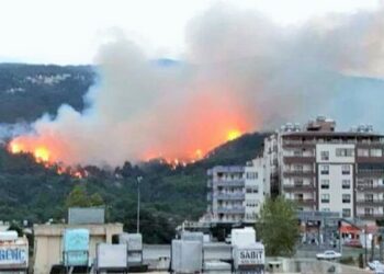 Hatay’da yangın yerleşim yerlerine sıçradı