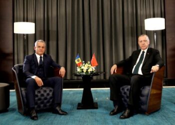 Türkiye, Moldova’nın kırmızı bültenle aradığı mafya liderine vatandaşlık vermiş!