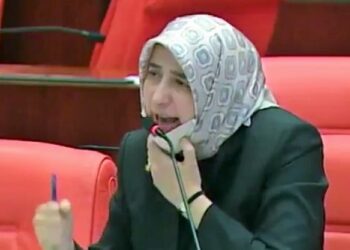 AKP’nin asıl yüzü: Özlem Zengin, kadın tacizcisi polisleri ve kadın cinayetlerini savundu