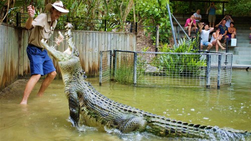Queensland’de kayıp kadın dev timsaha yem oldu