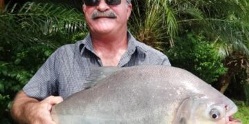 Queensland’de balıkçı, timsahın karnında bulundu
