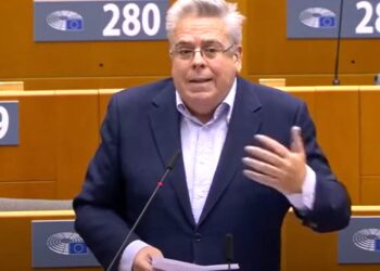 AP Türkiye Raportörü Amor: AKP’nin söylemlerine bakarsak, ülkeninin yarısını teröristler oluşturuyor