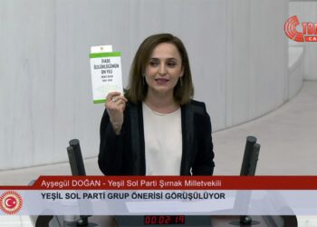 HEDEP Sözcüsü Ayşegül Doğan: Salih Müslim ile görüştüğümde yanımda Dışişleri yetkilileri vardı