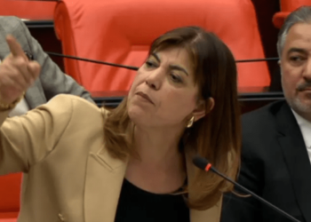 HEDEP Grup Başkanvekili Beştaş’a ‘terörist sevici’ diyen AKP’li Erdem’e: Terörist senin babandır, sensin