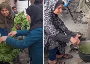 Gazze’de açlık krizi: Filistinli kadınlar ebegümecini kaynatıp yemek yapıyor