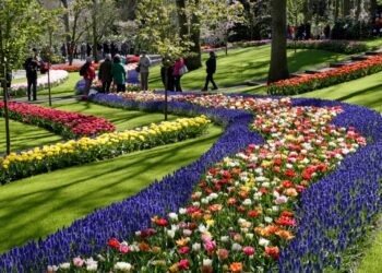 Dünyanın en büyük çiçek parkı Keukenhof, 75. kez açıldı