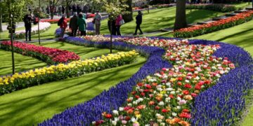 Dünyanın en büyük çiçek parkı Keukenhof, 75. kez açıldı