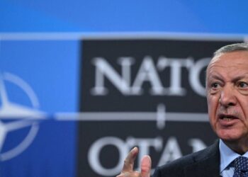 AFSV direktörü Alp Aslandoğan Newsweek’te yazdı: NATO, Türkiye’yi hukuka ve demokrasiye geri döndürmeli