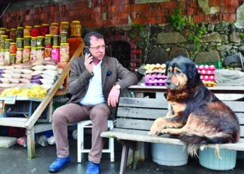 Ekrem İmamoğlu’ndan AKP’ye ‘sokak hayvanları’ çağrısı: Bu yanlıştan dönün, bunu milletimize yapmayın