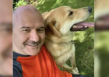 İşte köpek katliamı yasasına sessiz kalan vekillerin tam listesi