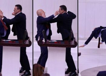 Saray’dan yumrukçu vekil, AKP’li Altay Özalan’a destek
