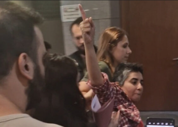 Av. Dilek Ekmekçi’den vicdanlı insanlara mektup var: Akıl hastanesine yatırıp itibarsızlaştırmak ve susturmak istiyorlar