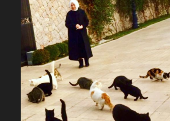 Hak İnsiyatifi Derneği: “Melek İpek, cezaevinde tek başına hayatını idame ettiremez”