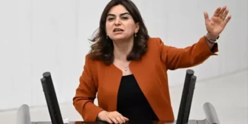 DEM Grup Başkanvekili Koçyiğit’ten süreç açıklaması: Görüşmelerdeki tartışmalar Meclis’e taşınmalı