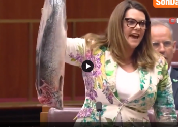 Senatör Sarah Hanson-Young balıkla parlamento kürsüsüne çıktı