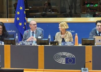 Avrupa Parlamentosu’nda ‘nefret söylemi’ paneli: “Nefret söylemi, Türkiye’de bir hükümet aygıtı”