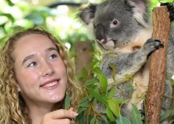 Avustralya Açık’a katılan tenisçilere kanguru ve koala dopingi!
