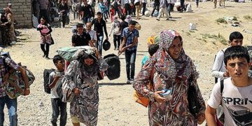 DEM Parti Sözcüsü Doğan: Kürt kadının saçını kesen kişi ‘ordu’ mensubu
